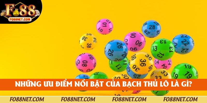 Những ưu điểm nổi bật của bạch thủ lô là gì?