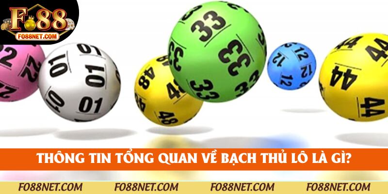 Thông tin tổng quan về bạch thủ lô là gì?